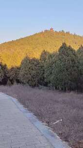 山林间的小路与山顶古亭风景