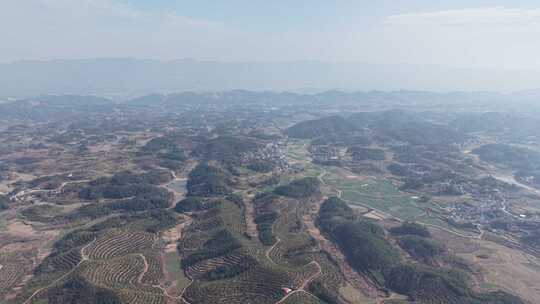 乡村全景俯瞰，绿意盎然的田园风光