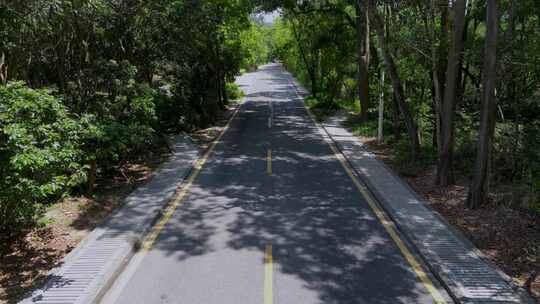 航拍深圳大鹏新东路绿色风景