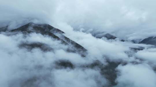 无人机航拍西藏林芝秋天高山林海云雾景观