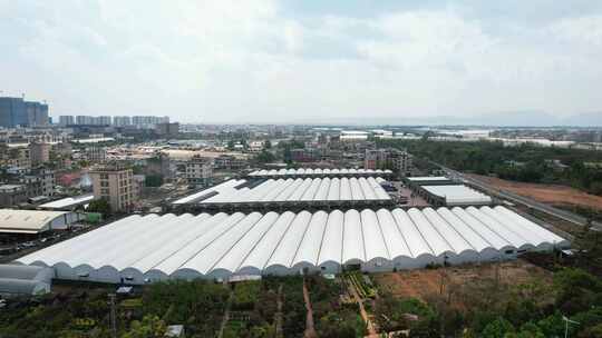 农业种植基地大棚农业航拍