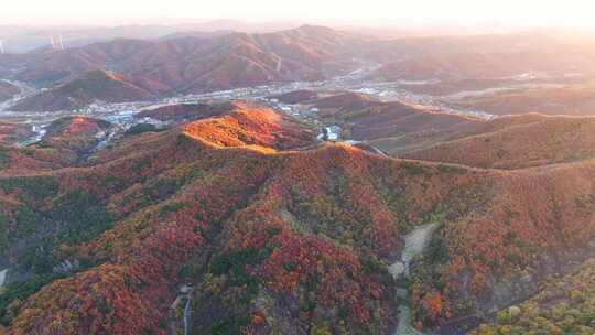 山林秋季五彩树叶航拍