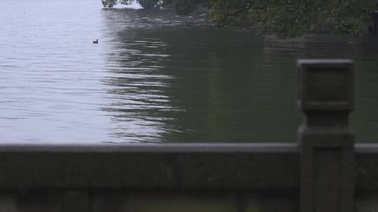 栏杆 湖水 园林建筑 东方美学