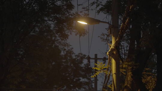 小区路灯 夜晚路灯 居民楼夜晚