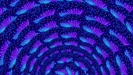 4K孔雀背景素材