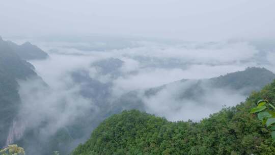 恩施州鹤峰县云海延时摄影