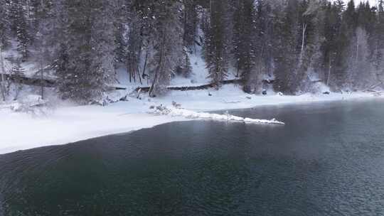 冬季喀纳斯晨雾雪蘑菇雾凇冰河野鸭雪山森林