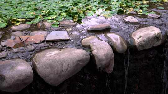 从带有苔藓的石头上落下的溪流水