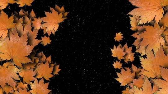 秋天的树叶闪闪发光
