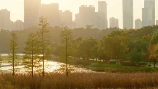 4k长沙梅溪湖公园秋景