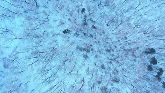 航拍黑龙江亚布力滑雪场冬季风光风景