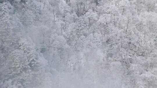 南太行伏牛山雪景雾凇云海自然风光