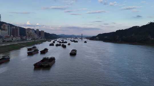 合集航拍广西梧州西江忙碌水运船只
