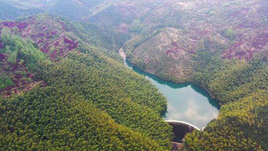 宁波四明山国家森林公园下坑水库航拍视频素材模板下载