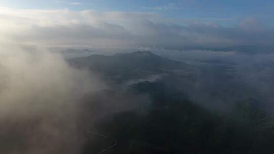 云雾笼罩下的山林