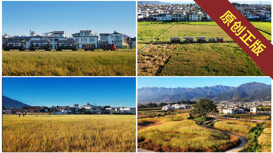 [4K合集]云南大理喜洲古镇稻田