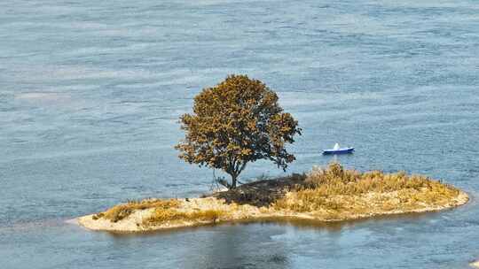 航拍孤独岛上一棵树