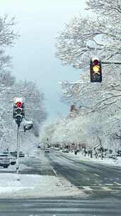 冬季的雪，美了整个街道