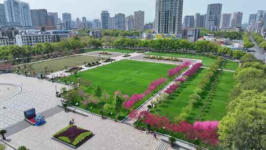 航拍宜昌夷陵广场鲜花步道