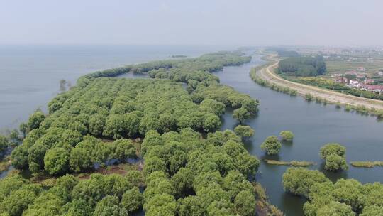 湖南岳阳洞庭湖鱼米之乡农业种植鱼塘航拍