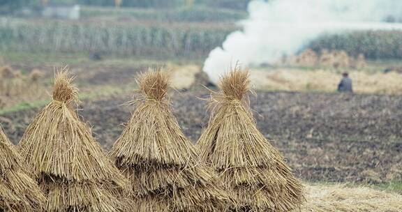 4k实拍农田里的稻草堆