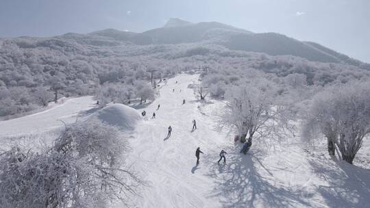 雪山4K航拍 四川太子岭