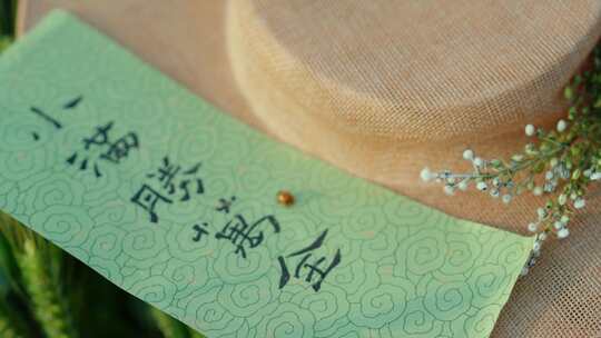 小满 小满节气 小麦 麦田 下雨