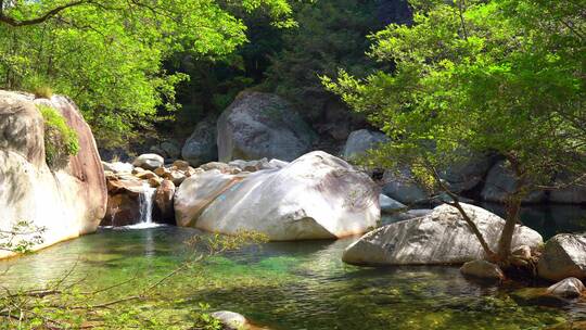 山体公园森林溪流小溪溪水流流自然景观 4k