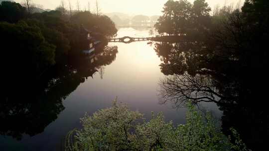 杭州西湖曲院风荷春天梨花