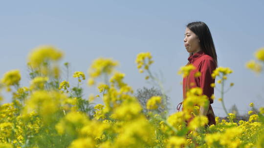 春天中国女性美女在油菜花田地中玩耍