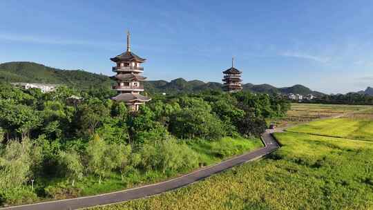 水稻秋收 美丽乡村 乡村振兴 五彩田园