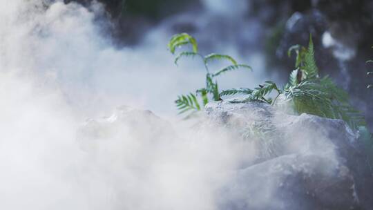 景观水池假山假石