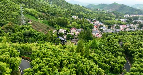 竹林 群山 民居 茶园航拍