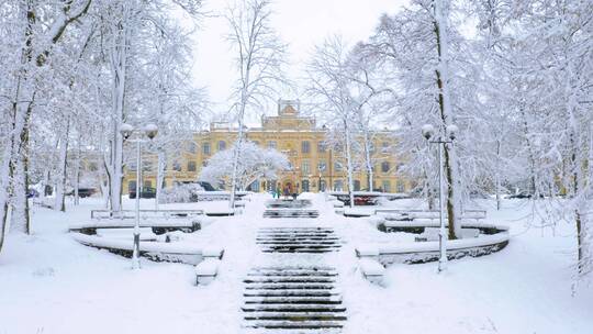 冬季被白雪覆盖的大学校园