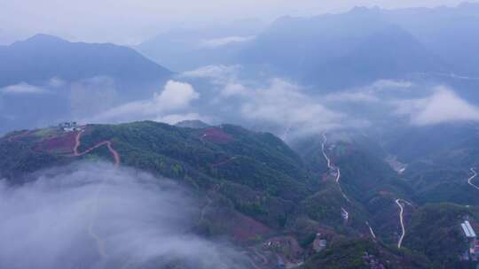 镇安海棠山