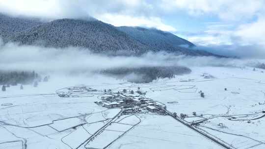 [合集]西藏林芝鲁朗林海雪原冬天雪景航拍