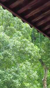 竖版航拍寺庙下雨素材苏州北寺塔实拍