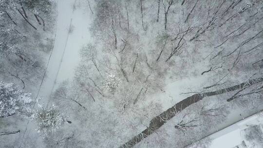 罗马尼亚布加勒斯特城市雪景