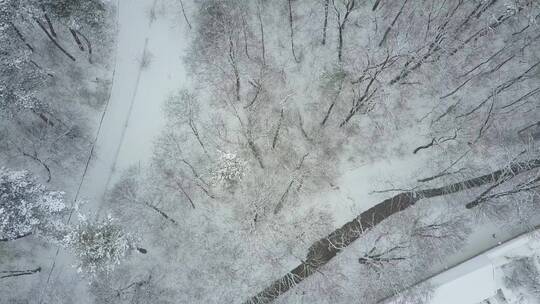 罗马尼亚布加勒斯特城市雪景视频素材模板下载