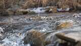 水 河流 小溪 风景 水流 河道 河 风光高清在线视频素材下载