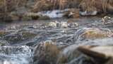 水 河流 小溪 风景 水流 河道 河 风光高清在线视频素材下载