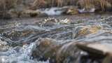 水 河流 小溪 风景 水流 河道 河 风光高清在线视频素材下载