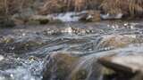 水 河流 小溪 风景 水流 河道 河 风光高清在线视频素材下载