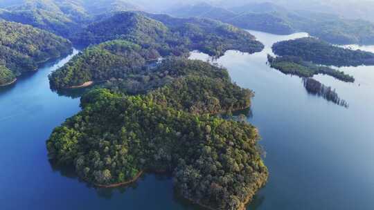 中山长江水库自然保护区