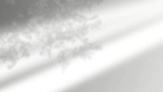 模糊光影与树叶景象