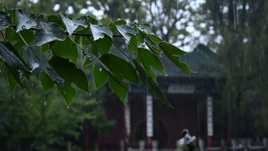 下雨天的古建筑风景