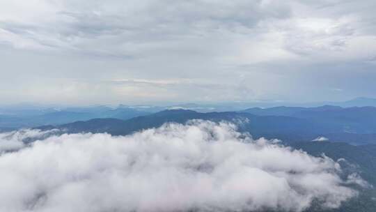 海南乐东县尖峰岭国家森林公园热带雨林