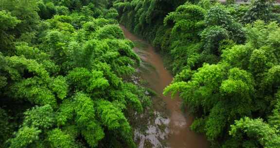 航拍夏季雨后山涧溪流清新自然竹海风景