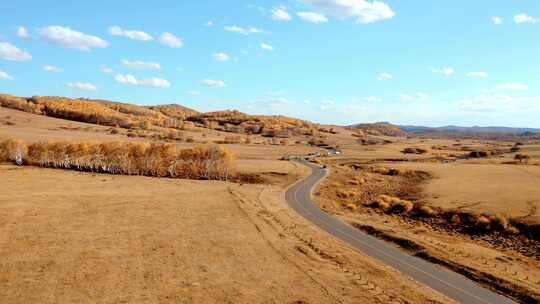 4K航拍汽车在内蒙乌兰布统草原公路上驰骋