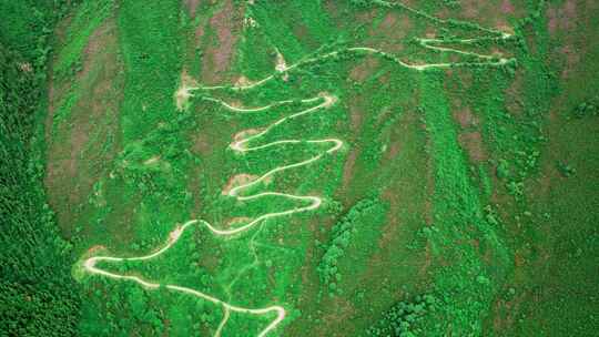 青海海东市乐都高山越野盘山公路杜鹃花航拍